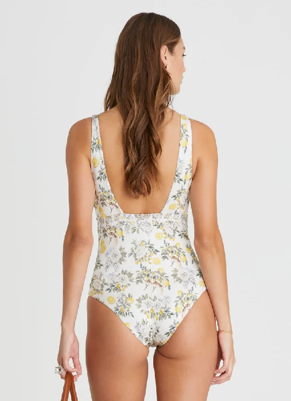 Clementine Alana DD/E Cup One Piece